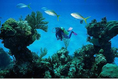 微软为XSS发布软件开发套件 解放更多内存提升性能